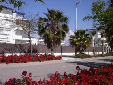 Alquiler de Apartamentos/pisos en COSTA BALLENA / ROTA. Casaspain